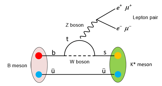 Standard Model penguin diagram for process in LHCb study (image courtesy of Belle Experiment).
