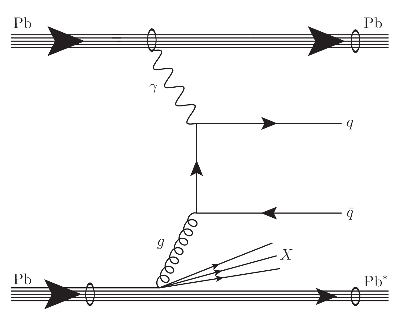 fig1